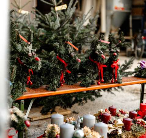 Aktionen im Dezember