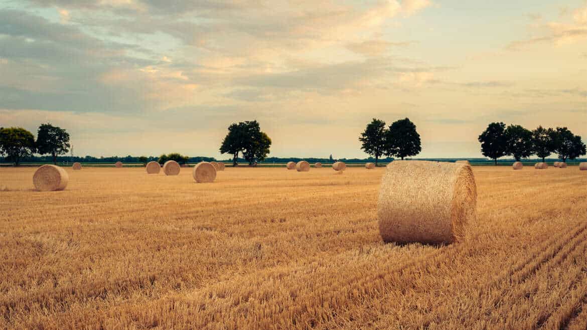 Aktionen im August