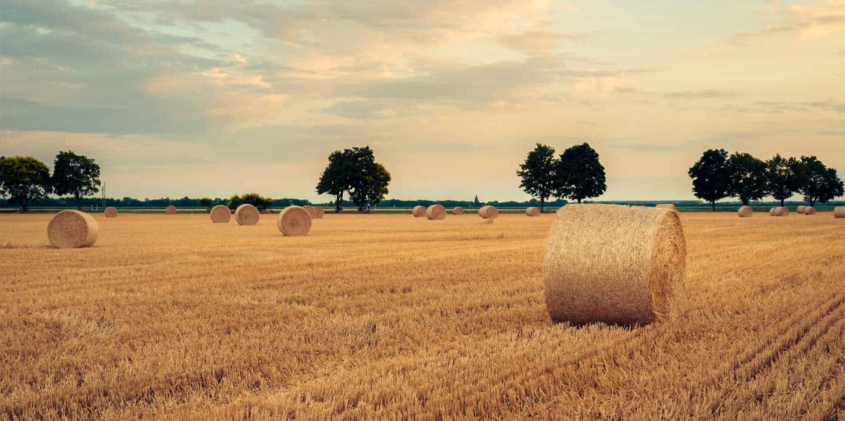 Aktionen im August