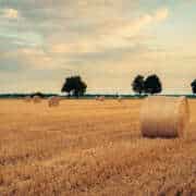 Aktionen im August