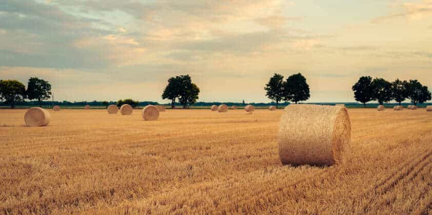 Aktionen im August