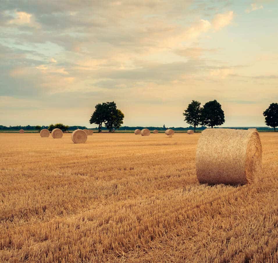 Aktionen im August