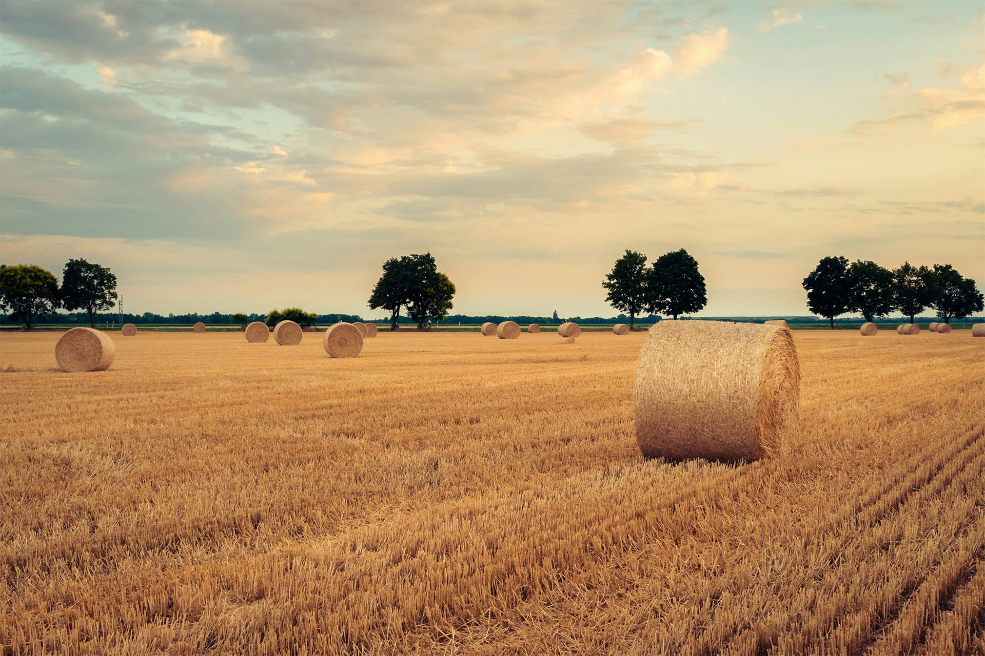 Aktionen im August
