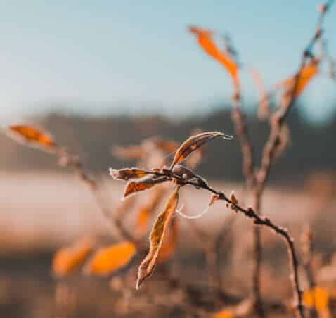 Aktionen im November
