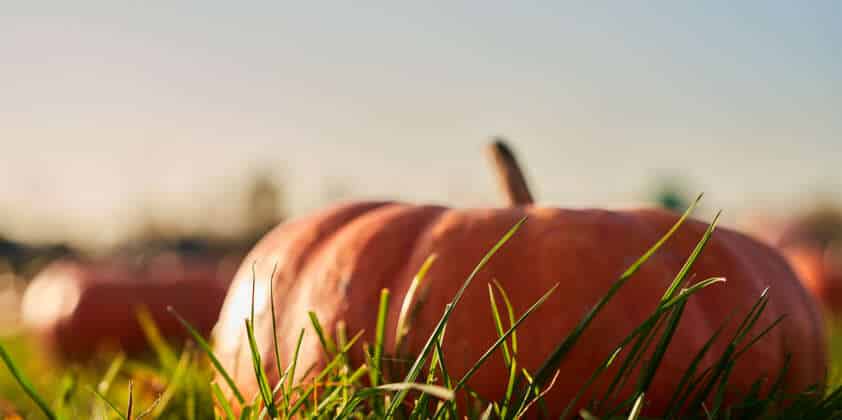 Aktionen im Oktober
