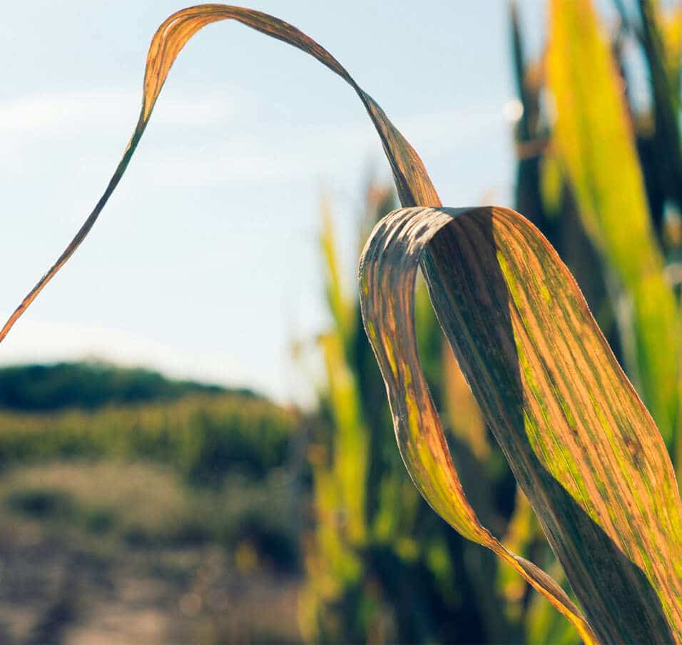 Aktionen im September
