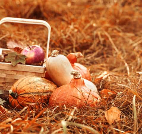 Aktionen im Oktober