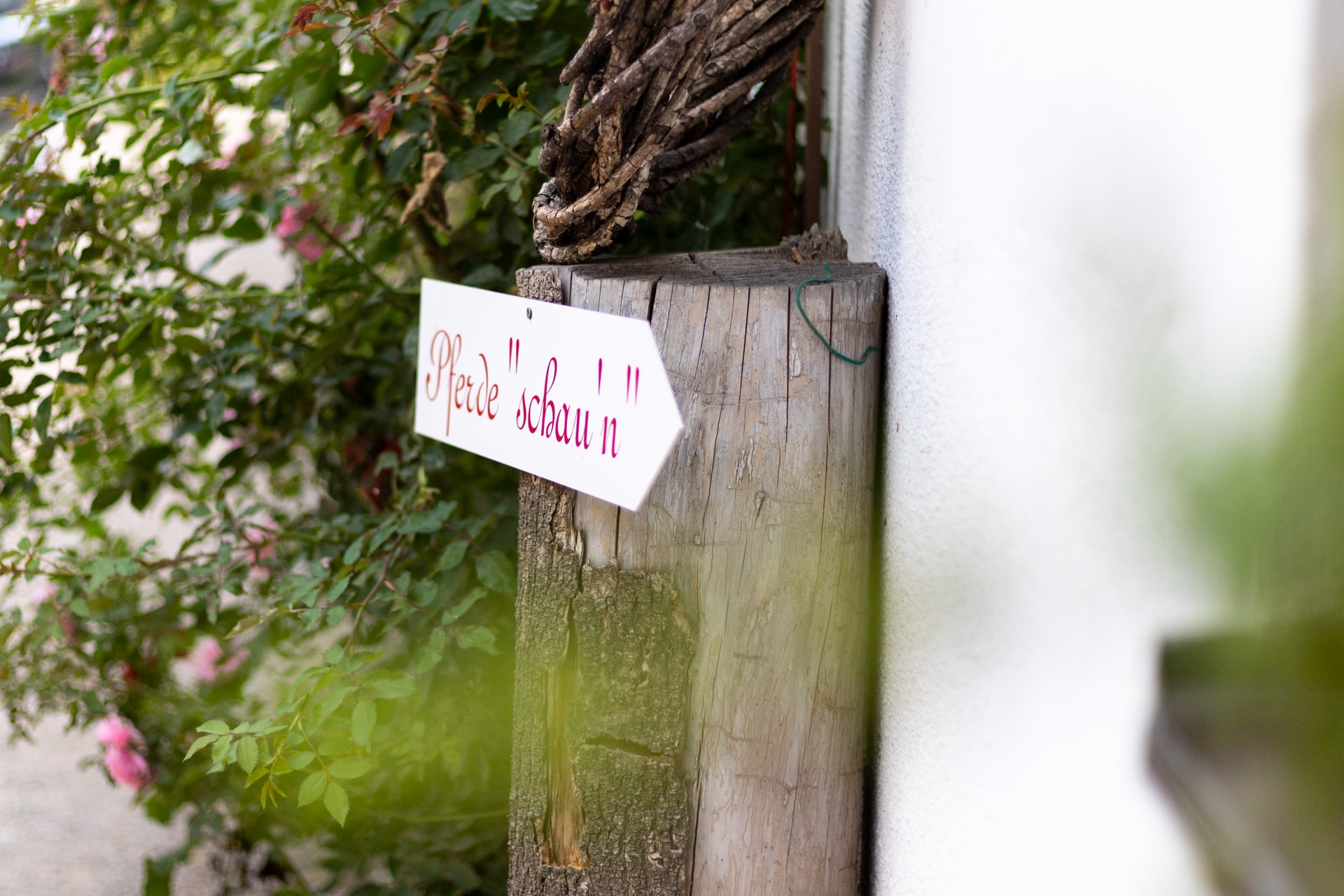 Aufnahme von Schild mit Aufschrift Pferde schauen